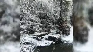 VLOG THANDEANI WINTER SCENERY