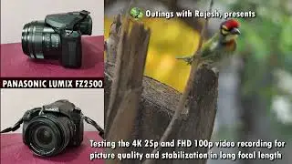 Тест Panasonic Lumix с Coppersmith Barbet