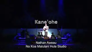 Kane&rsquo;ohe / Nathan Aweau @Aloha Hawaiian Festival 2025 TACHIKAWA STAGE GARDEN