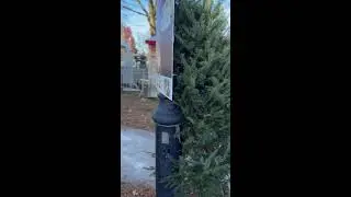 🎄 Le March&eacute; de No&euml;l du Vieux-Aylmer 2025 🎄