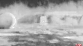 Flir Thermosight Pro PTS 233