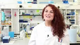 MRes-PhD Programme