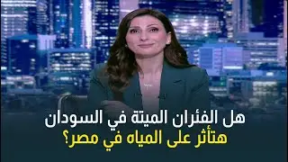 هل تؤثر على مصر؟ كارثة غامضة في السودان بسبب نفوق الاف الفئران