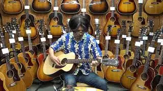 GUILD M 40 NEW