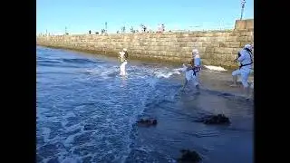 White Rose Morris dancing into the sea at Whitby Folk Week