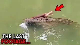The Most HORRIFYING Crocodile Attacks Ever Recorded!