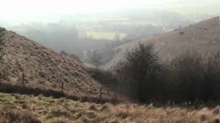 foggy kneading trough.mov