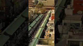 Top 5 places to visit in Asakusa! #japan #japantravel #tokyo #temple #ytshorts #shorts #fyp #fypシ