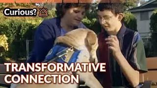 Disabled Teen Finds Voice Through Service Dog Tom Brady | Dogs with Jobs