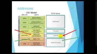 CCNA1 3-3 moving data