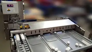 Nuovo Egg Printer - Egg-Jet SOR2 on Moba 68