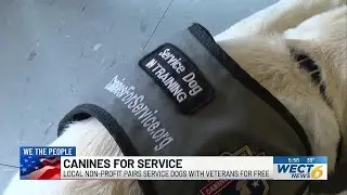 We The People: Local non-profit pairs trained service dogs with veterans for free