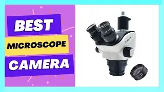 Best Top Selling AmScope 50X Simul Focal Trinocular Stereo Microscope 12