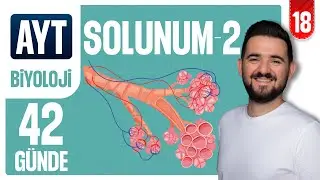 Solunum Gazlarının Taşınması | 42 GÜNDE AYRINTILI AYT BİYOLOJİ KAMPI 2026-2027 | 18.GÜN