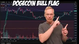 Dogecoin Bull Flag / Government Shutdown Vote LIVE
