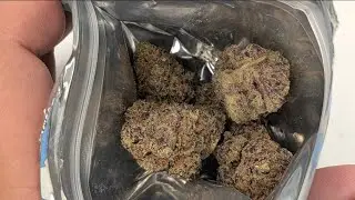 THCA SMALL BUDS | CAMPARI | PURPLE PLATFORM 🍇🗑️Thca review!! 🍇