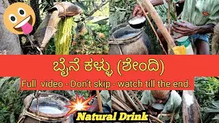 ಬೈನೆ ಕಳ್ಳು(ಶೇಂದಿ) ಅಂದ್ರೆ ಗೊತ್ತಾ? | Caryota urens - Fishtail palm | In kannada | Sringeri | EMV vlogs