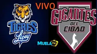 LICEY vs GIGANTES 🔴ENVIVO - TAMO EN PELOTA - MUELATV