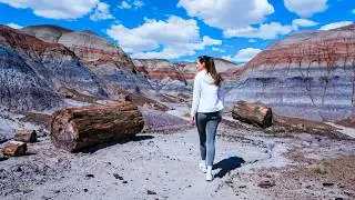 Exploring the Petrified Forest National Park | Arizona