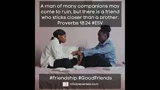 Bible verses about friendship Proverbs 18:24 a friend that sticks closer than a brother #shorts