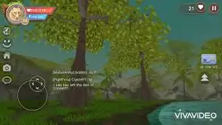 Jungle den ShowCase