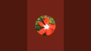 Swetaark is live!