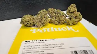 Strain Review Mac and Cheese By Potluck