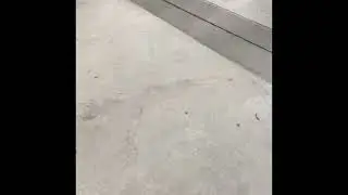 Kodiak Floor Scrubber Demo