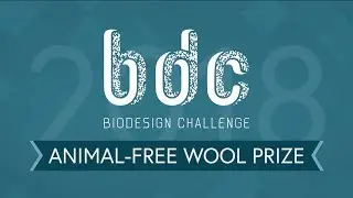 BDC Animal-Free Wool Prize Sponsored by PETA, Stella McCartney, and Stray Dog Capital