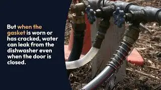 The Most Common Causes Of A Leaking Dishwasher
