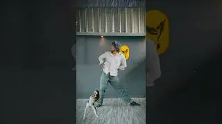 Husky dance 🫣 TUTORIAL in channel #trending #dance #huskydance
