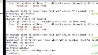 Practicing With Git Stash