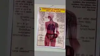 components of immune system #nursingworld #immunesystem
