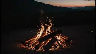 Сжигание жира с уходом за щитовидной железой и надпочечниками (морфическое поле)