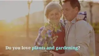 Plantgrowpick | How to Grow Plants Without Soil?