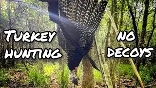 Turkey Hunting With NO DECOYS - Georgia 2024 Season