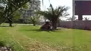 pedestrian dethatching