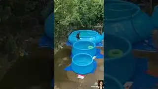 THE BEST PORTABLE & FOLDABLE SWIMMING POOL.#EasyLife#Shorts#TravelPool#CrazySummerSwimmingPool.