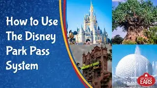 How to Use the New Disney Park Pass Reservation System for Walt Disney World Parks