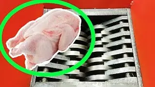 SHREDDING RAW CHICKEN IS SO SATISFYING | ASMR Eating sounds no talking #YAWS Ep. 55