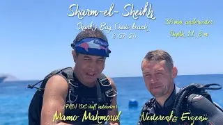 DIVING|SHARK'S BAY OASIS| погружение на 38 минут с PADI IDC staff instructor Mamo Mahmoud #diving