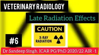 Late Radiation Effects/Stochastic/Non stochastic effects || Veterinary Radiology. Dr Sandeep Singh