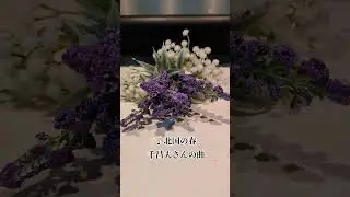 ♪『北国の春』千昌夫さんの曲（1977年）