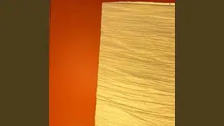 orgazm