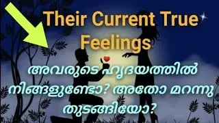 ♦️✨നിങ്ങളുടെ വ്യക്തിയുടെ കറന്റ്‌ ഫീലിംഗ്സ് അറിയാൻ രണ്ടിലൊന്ന് തിരഞ്ഞെടുക്കു🌹
