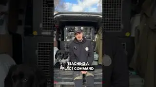 Команда места обучения 🐺