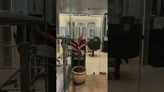 Beautiful Hair Color Result by Experts | Mira Road Salon