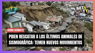 PIDEN con URGENCIA rescatar a los últimos animales en SISMOGRÁFICA: temen nuevos movimientos