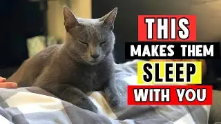 The ACTUAL REASONS Why Your Cat SLEEPS With YOU! 🐱💤 | FurryNest Exclusive