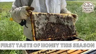 First Taste Of Honey This Season